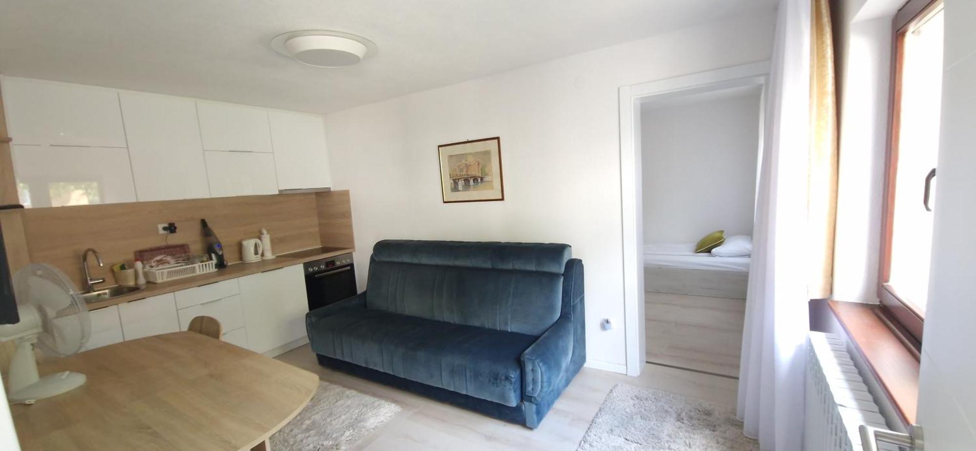 Family Apartment With Garden Sarajevo Room photo
