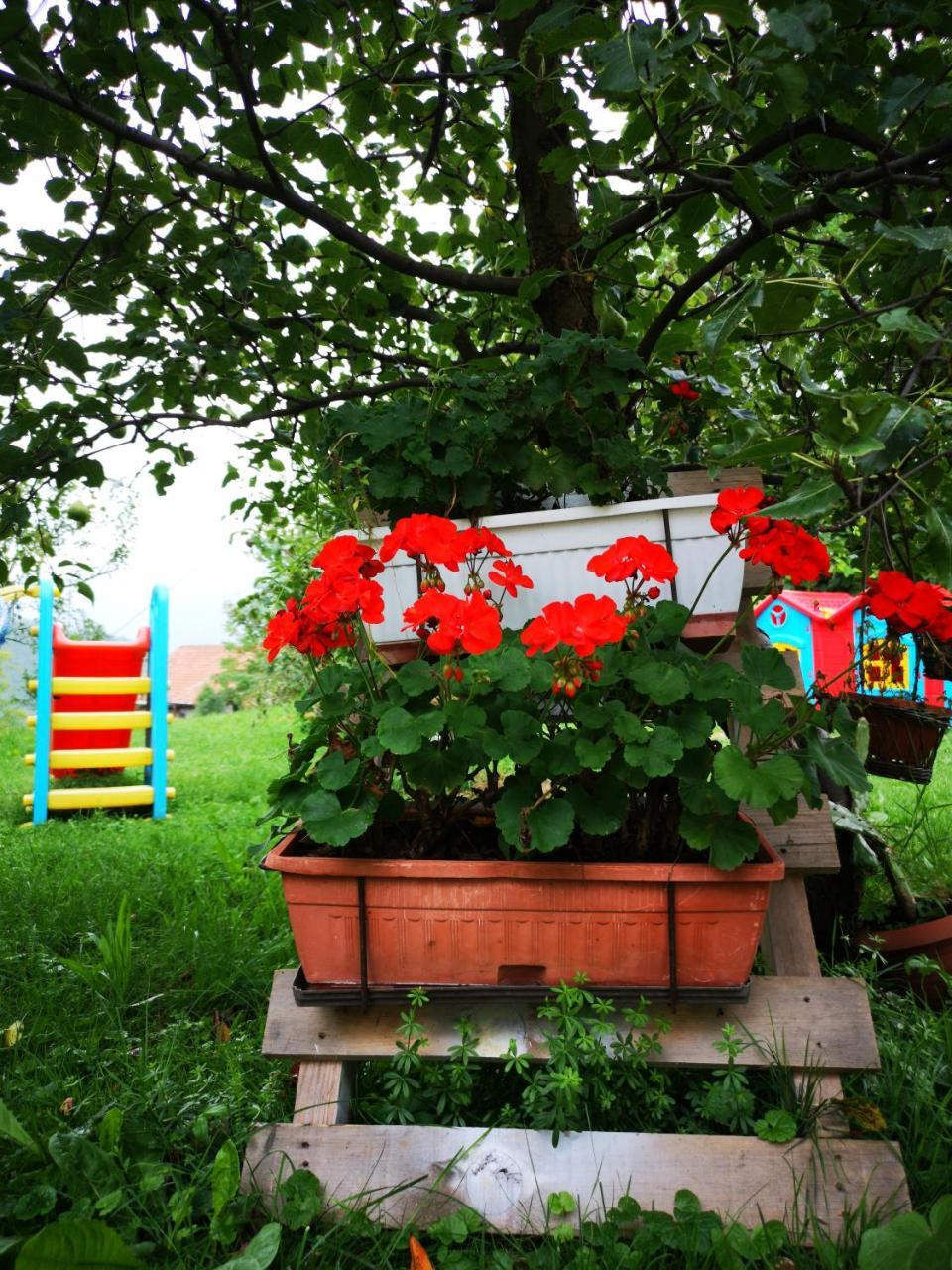 Family Apartment With Garden Sarajevo Exterior photo