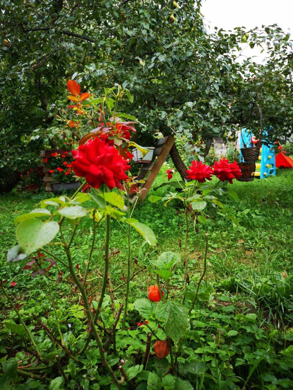 Family Apartment With Garden Sarajevo Exterior photo