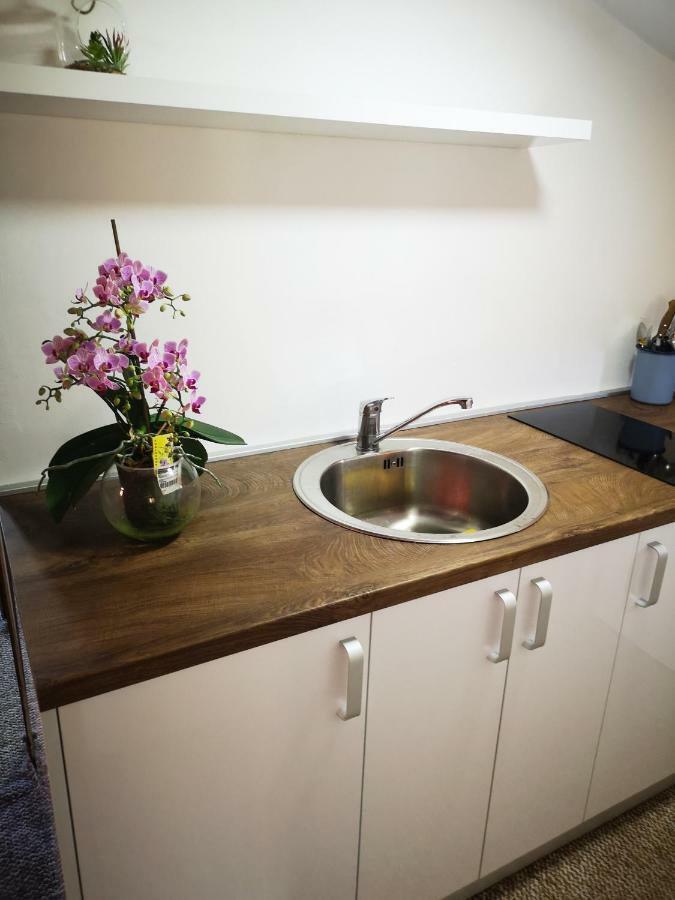 Family Apartment With Garden Sarajevo Room photo